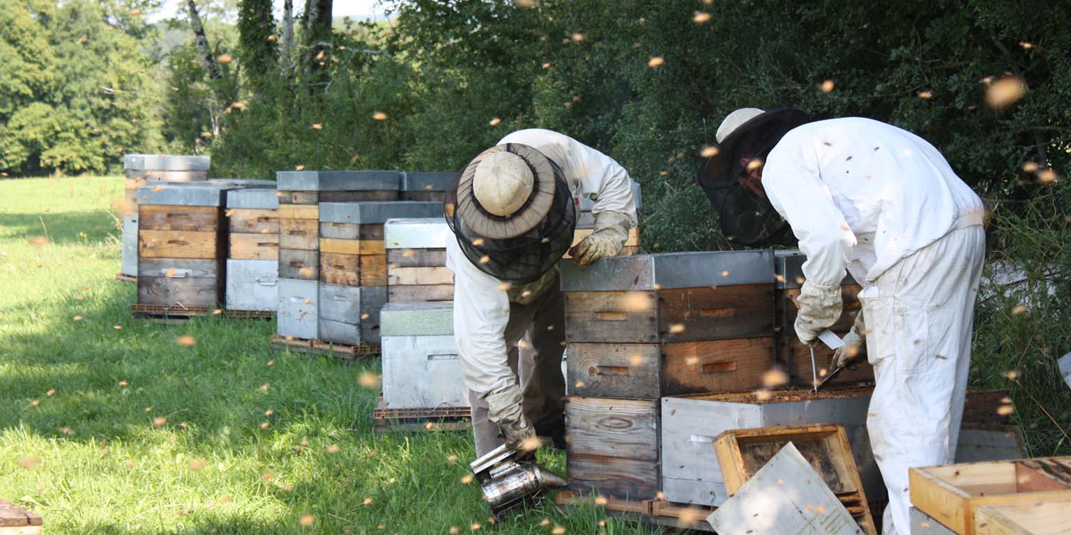“اتحاد منتجي العسل” ينضم إلى “جناح فرنسا” في “إكسبو 2020 دبي” بصفة راع لأسبوعي “التنوع البيولوجي”