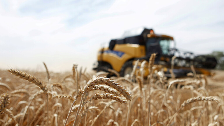 روسيا تحقق قفزة في صادرات القمح