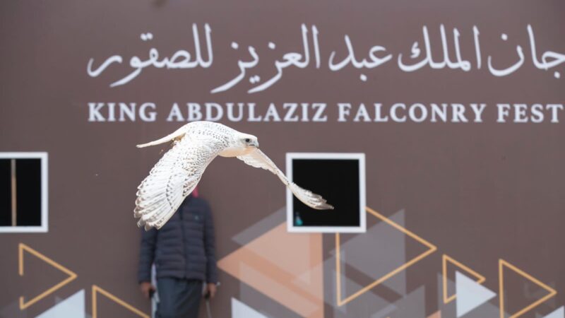 تتويج 9 فائزين دوليين بكأس الملك عبدالعزيز للصقور في مسابقة الملواح اليوم