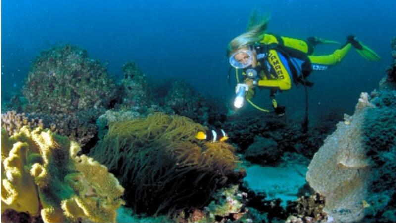 سحر البحار العمانية ..  اكتشف جوهرة السياحة البحرية في سواحل عُمان